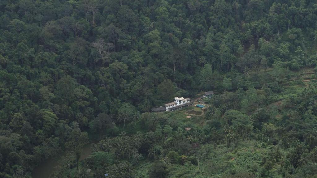Explore Sinharaja Rain Forest Tour Camp Dombagoda Kültér fotó