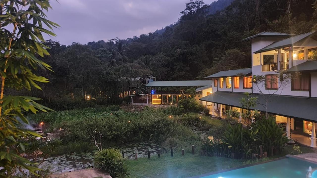 Explore Sinharaja Rain Forest Tour Camp Dombagoda Kültér fotó