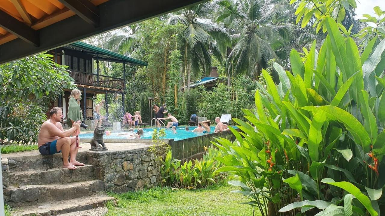 Explore Sinharaja Rain Forest Tour Camp Dombagoda Kültér fotó