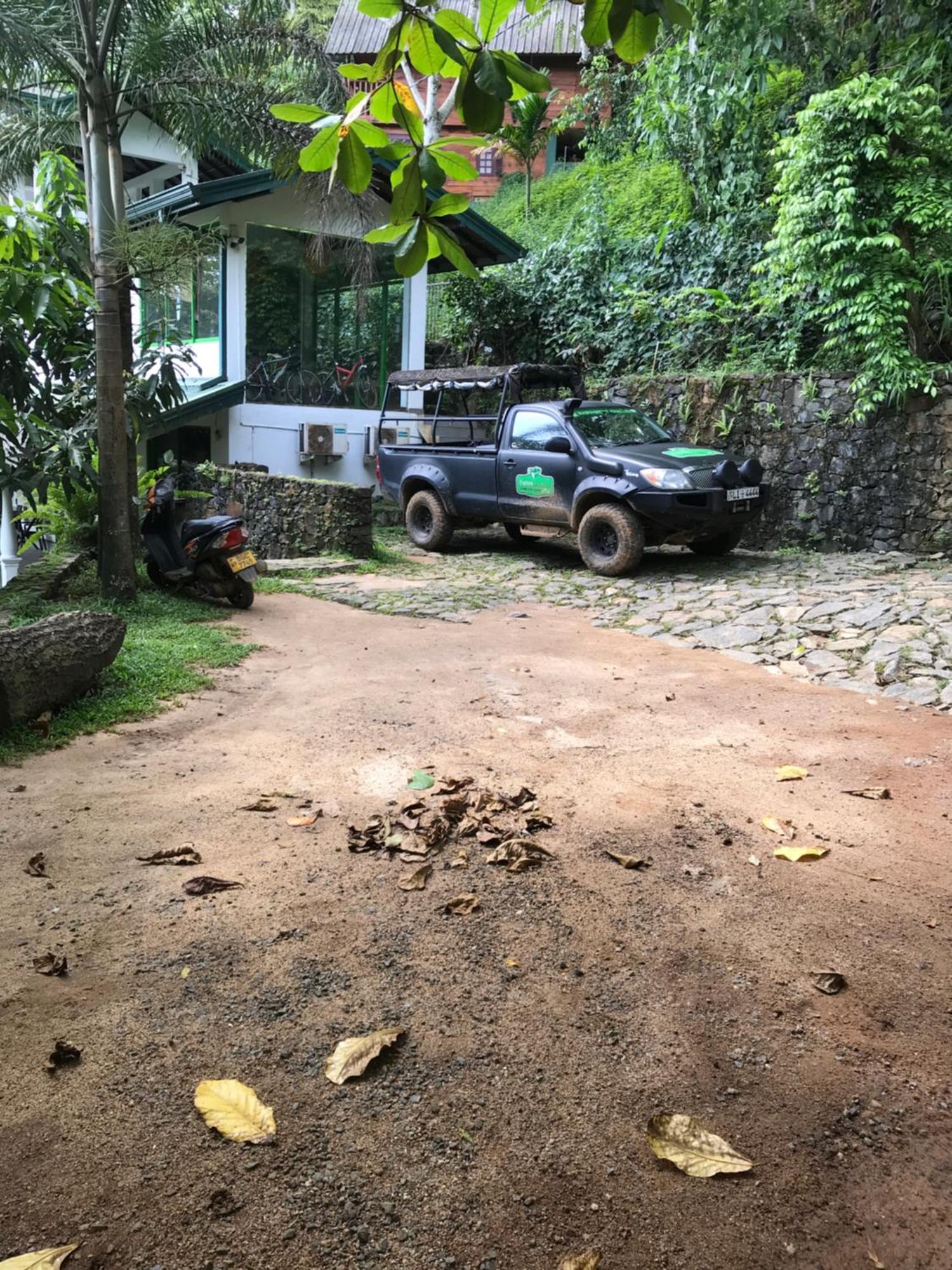 Explore Sinharaja Rain Forest Tour Camp Dombagoda Kültér fotó