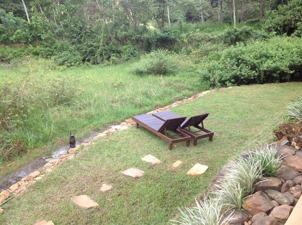 Explore Sinharaja Rain Forest Tour Camp Dombagoda Kültér fotó