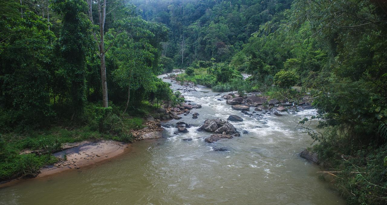 Explore Sinharaja Rain Forest Tour Camp Dombagoda Kültér fotó