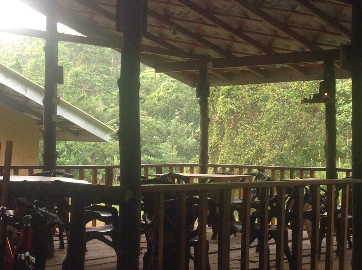 Explore Sinharaja Rain Forest Tour Camp Dombagoda Kültér fotó