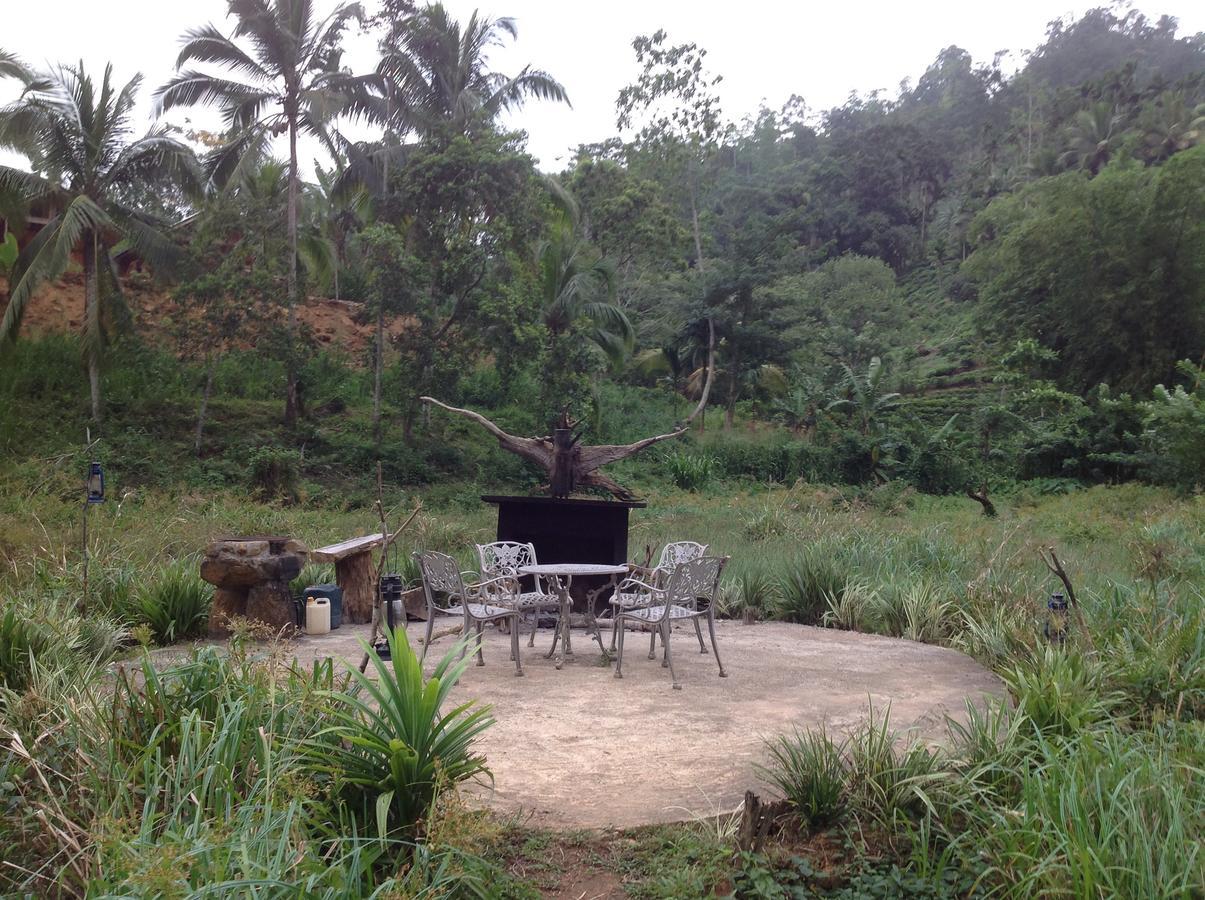 Explore Sinharaja Rain Forest Tour Camp Dombagoda Kültér fotó