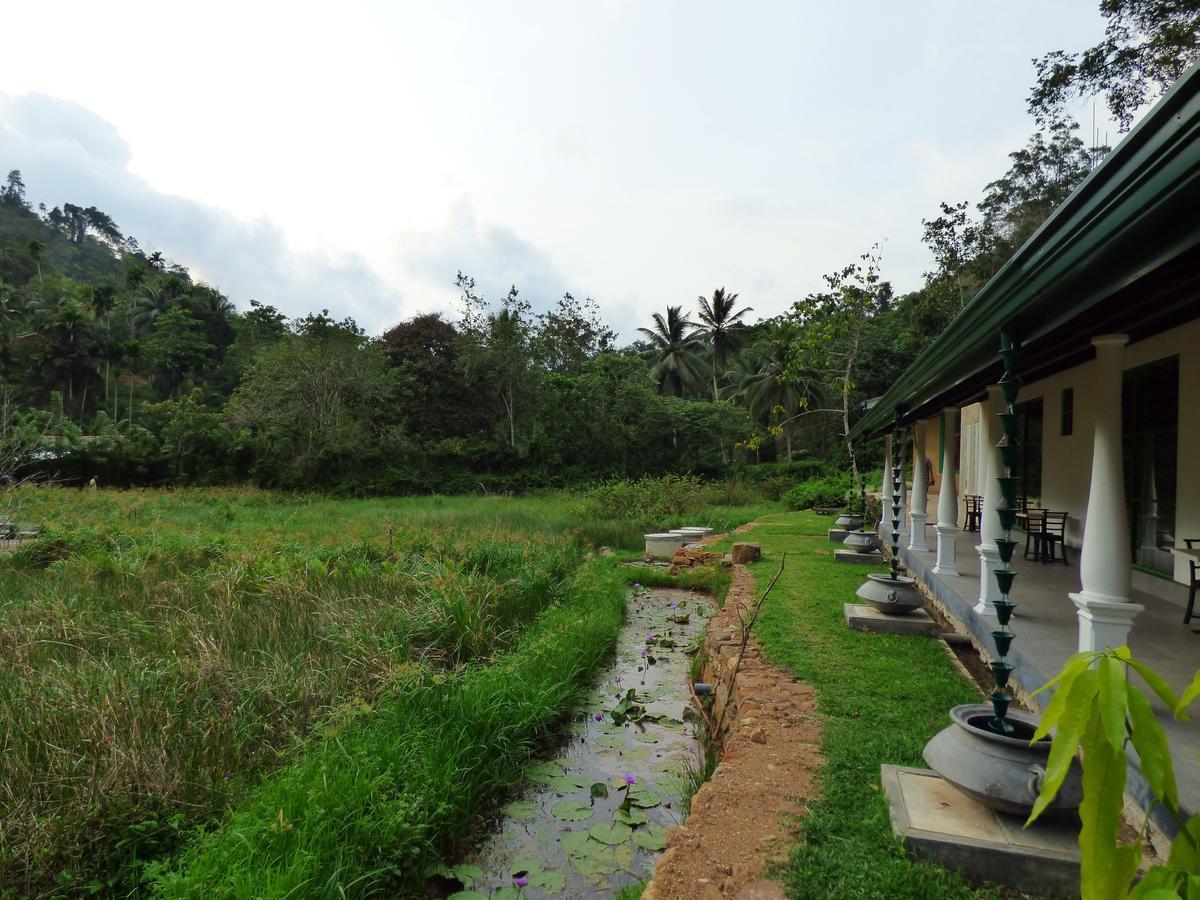 Explore Sinharaja Rain Forest Tour Camp Dombagoda Kültér fotó
