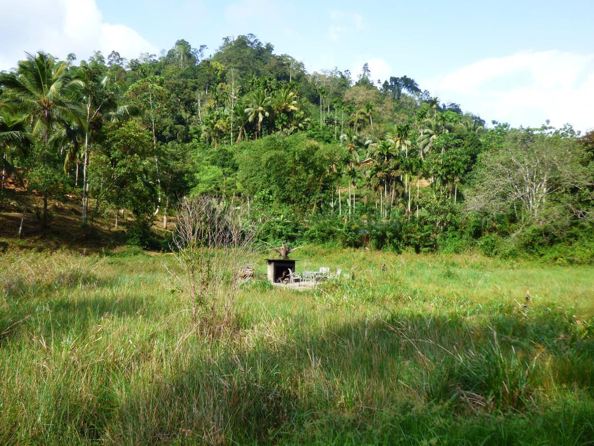 Explore Sinharaja Rain Forest Tour Camp Dombagoda Kültér fotó