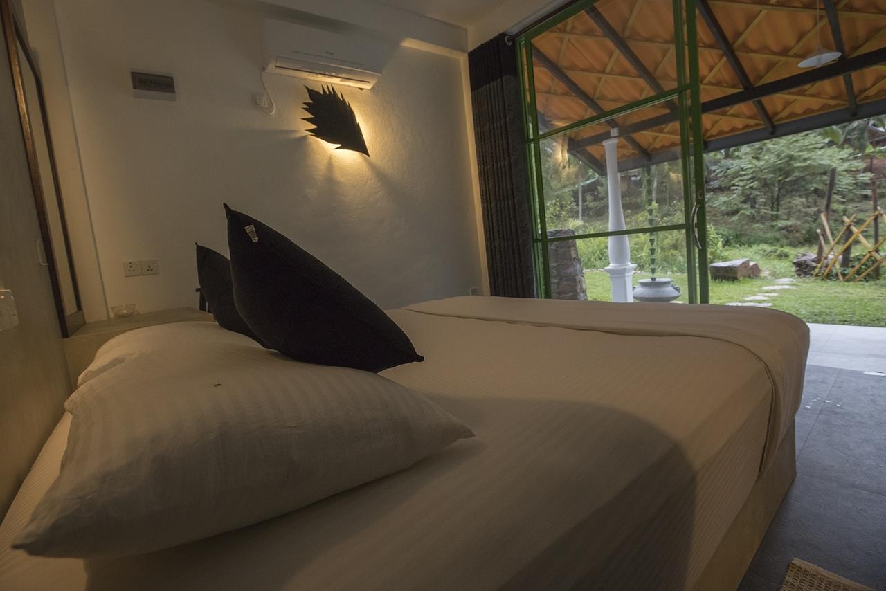 Explore Sinharaja Rain Forest Tour Camp Dombagoda Kültér fotó