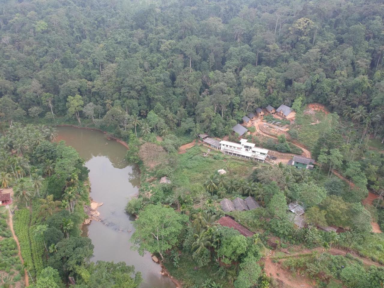 Explore Sinharaja Rain Forest Tour Camp Dombagoda Kültér fotó